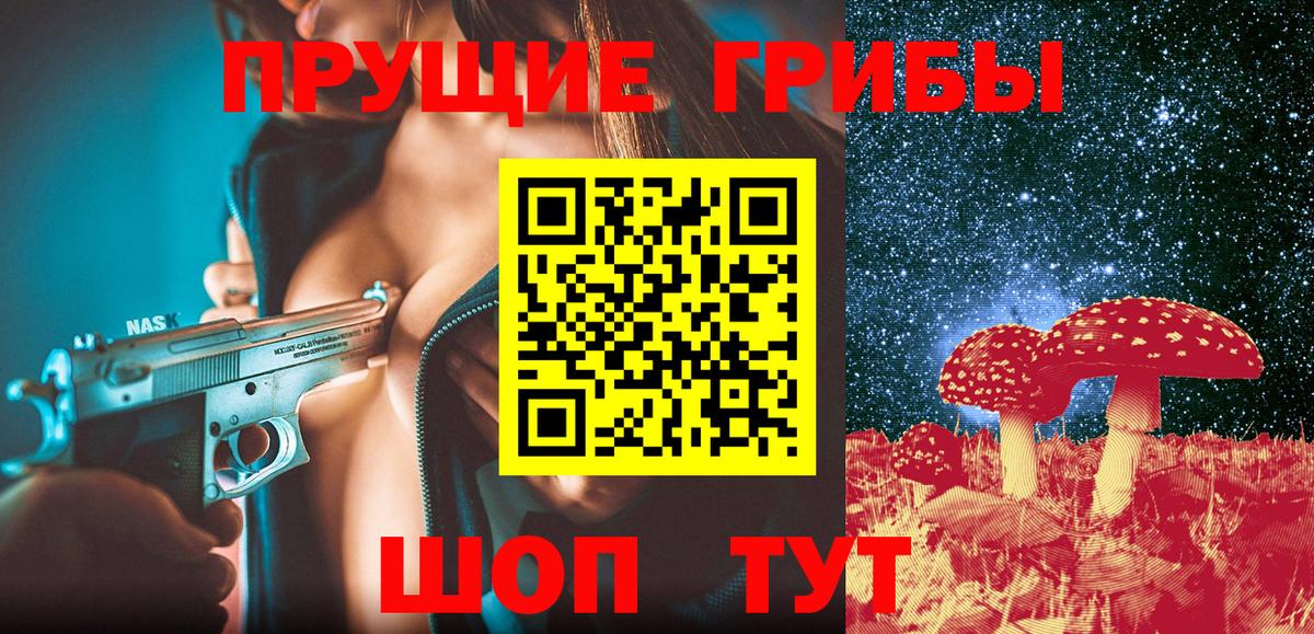 Псилоцибиновые грибы MAGIC MUSHROOMS  Вход с VPN  Мурино  Псилоцибиновые грибы MAGIC MUSHROOMS 